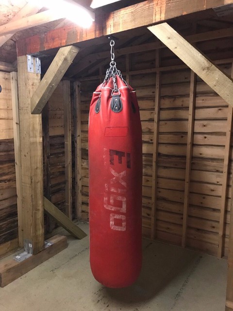 exigo punch bag